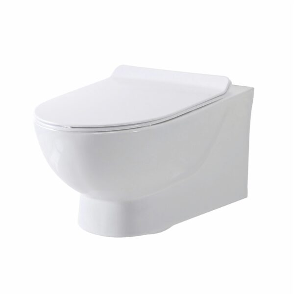 BELINI007_CUTOUT_001-2048x2048 Belini Rimless Wall hung Pan