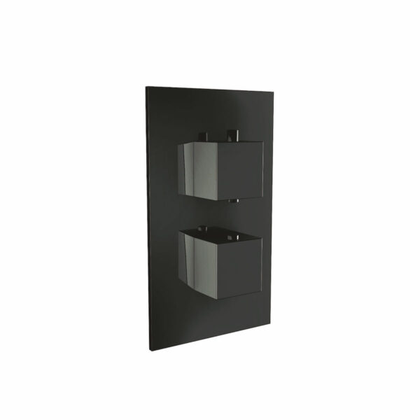 BLACK001ORB_CUTOUT_001-1 Black Dual Handle, 1 Outlet Concealed Valve