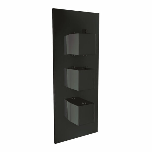 Black Triple Handle, 2 Outlet Concealed Valve