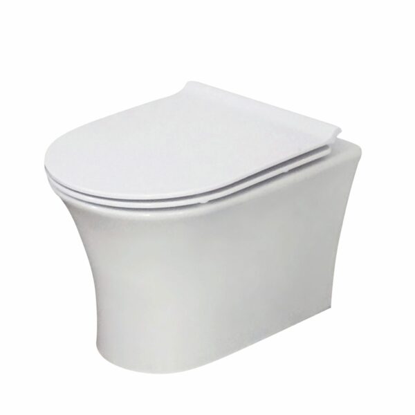 DEIA007_CUTOUT_001-2048x2048 Deia Rimless Wall Hung Pan