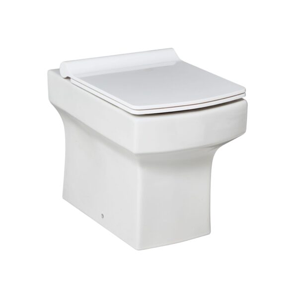 DEN005_CUTOUT_001-2048x2048 Denza Back to Wall Pan