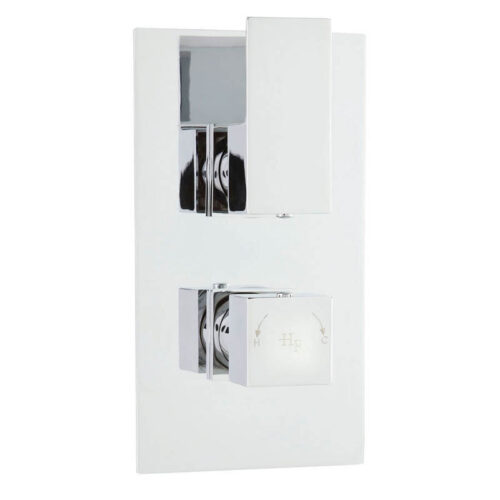 Chrome Art Twin Thermostatic Shower Valve With Diverter