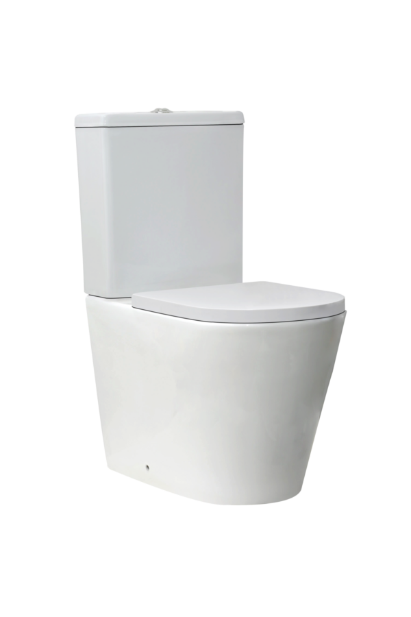 LINEA-FULL-PAN-SEAT_CUTOUT_001-1365x2048 Linea Rimless Back to Wall Pan & Seat