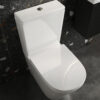 Linea Rimless Back to Wall Pan & Seat