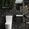 Linea Rimless Back to Wall Pan & Seat