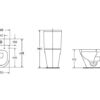 Linea Rimless Back to Wall Pan & Seat